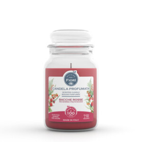 CANDELA OFFICINA DEI FIORI BACCHE ROSSE 100 ORE