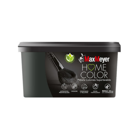 HOME COLOR SUPERLAVABILE LT.2