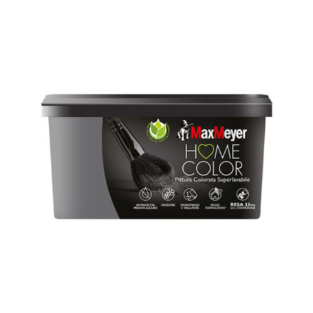 HOME COLOR SUPERLAVABILE LT.2
