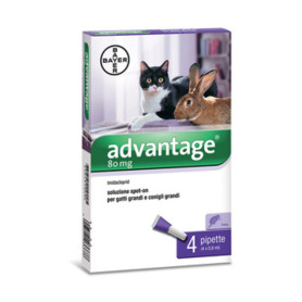 BAYER ADVANTAGE SPOT ON 80 GATTI OLTRE 4 KG