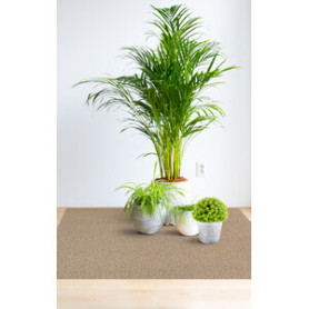 COPRIPAVIMENTO PVC CORALLO 9845-4   0