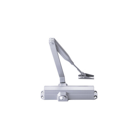 ISEO IS20 CHIUDIPORTA C\FERMO MAX 80 KG ARGENTO