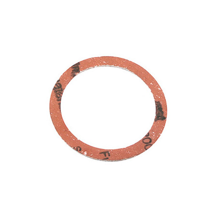 BL GUARNIZIONE P\RESISTENZA FILETTATA SCALDAB 4PZ