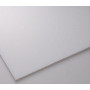 C VETRO SINTETICO OPACO FROSTEN H 100CM 200CMX5