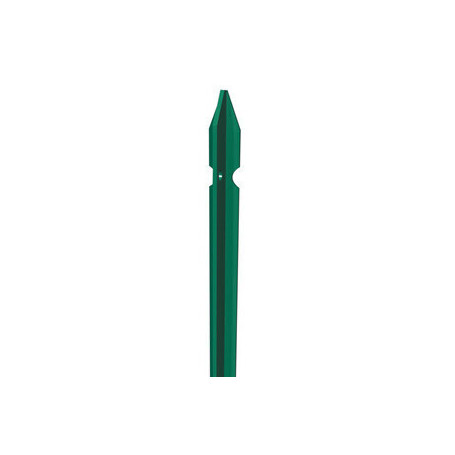 C PALETTO PLAST VERDE 6005 30X30X3MM 150CM