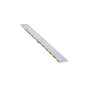 RAMPA DI CARICO PIEGHEVOLE LUNGHEZZA 250 CM
