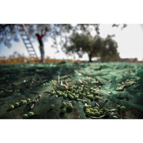 C RETE P\OLIVE ANTISPINA 32G 8 X  8M CALABRIA