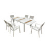 C SET TAVOLO ESTENSIBILE C\6 SEDIE ALU ICE