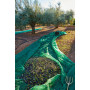 C RETE P\OLIVE ANTISPINA 80G 10X50M