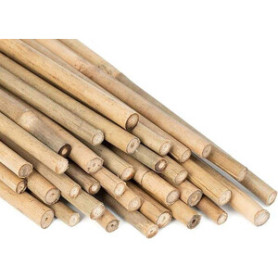 C CANNA BAMBOO NATURALE 150 CM-D.22\24 MM