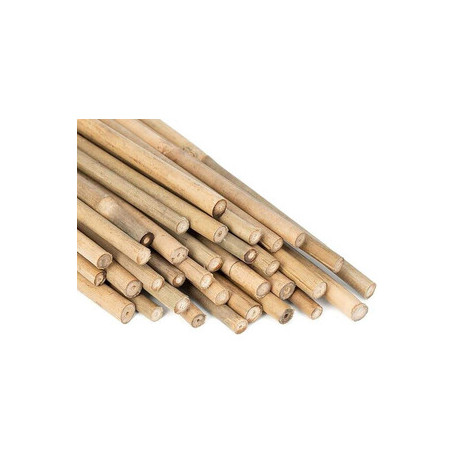 C CANNA BAMBOO NATURALE 210 CM-D.22\24 MM