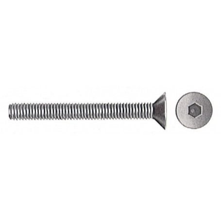 VITI T.S.P. BRUNITE ESAG. INC. 6X60**