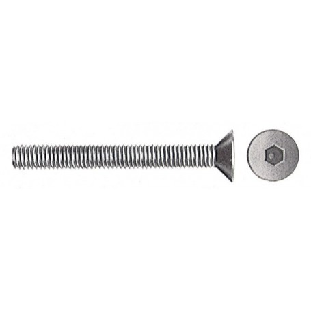 VITI T.S.P. BRUNITE ESAG. INC. 8X30