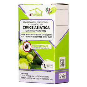 EROGATORE DI FEROMONE PER CIMICE ASIATICA in kit