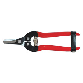 FORBICI COGLIUVA cm. 19