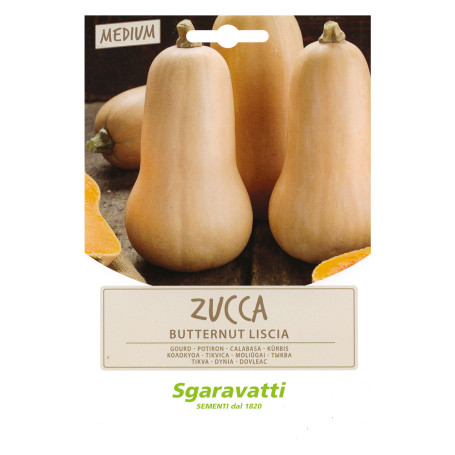 SEMI PER ORTAGGI E VEGETALI zucca butternut liscia