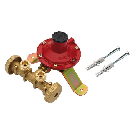 CENTRALINA MINI PER GAS SERIE  MC2200  2 uscite - kg.4