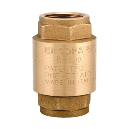 ITAP 100 VALVOLA RITEGNO EUROPA D 2