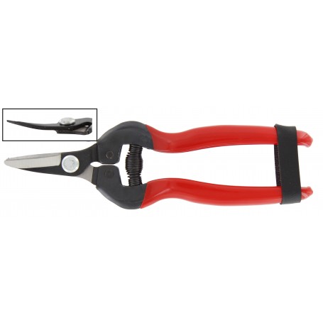 FORBICI PER UVA LAME CURVE PROF. RIF.21110