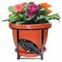 SET BALCONI FIORITI TONDO D.25