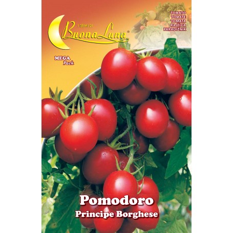 SEMI ORTO POMODORO CILIEGINO