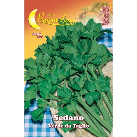 SEMI ORTO SEDANO VERDE DA TAGLIO