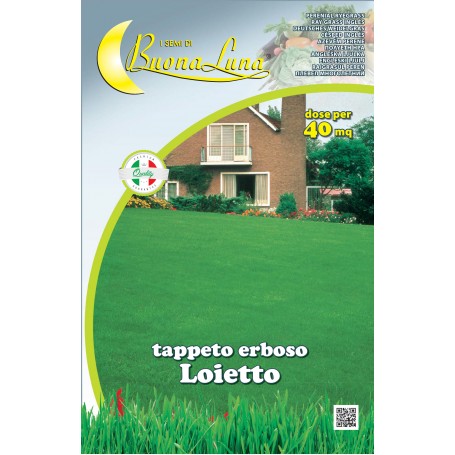 SEMI PRATO KG 1 LOIETTO