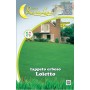 SEMI PRATO KG 1 LOIETTO