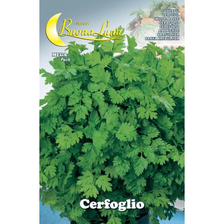SEMI ORTO CERFOGLIO