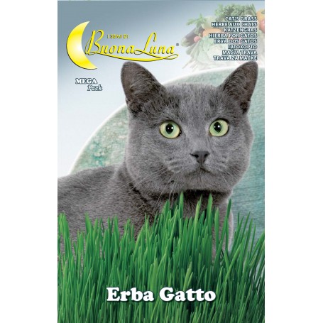SEMI ORTO ERBA GATTO