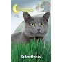 SEMI ORTO ERBA GATTO