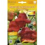 SEMI ORTO PEPERONCINO LANTERNA ROSSA\GIALLA