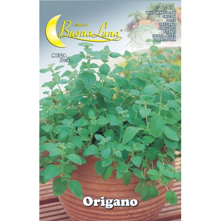SEMI ORTO ORIGANO
