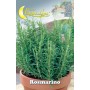 SEMI ORTO ROSMARINO