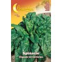 SEMI ORTO SPINACI GIGANTI