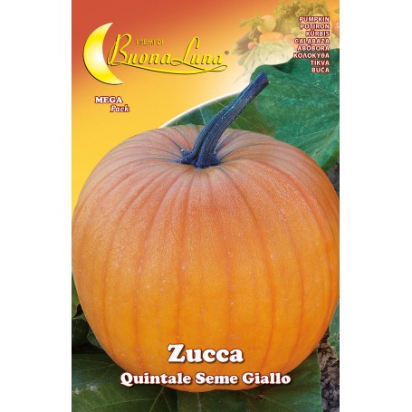 SEMI ORTO ZUCCA QUINTALE