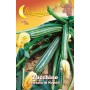 SEMI ORTO ZUCCHINO STRIATO NAPOLI