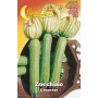 SEMI ORTO ZUCCHINO GENOVESE