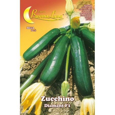 SEMI ORTO ZUCCHINO DIAMANT
