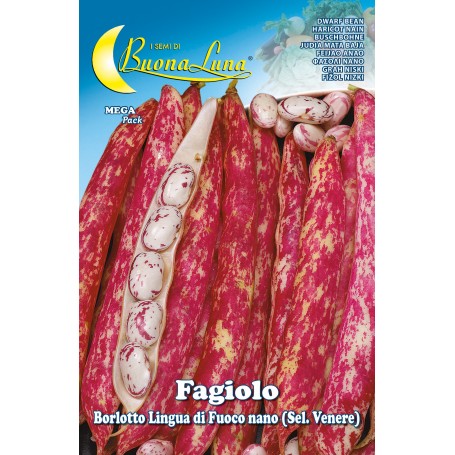 SEMI ORTO FAGIOLI NANI BORLOTTI