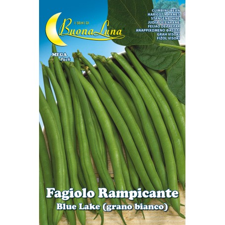 SEMI ORTO FAGIOLI RAMPICANTI BIANCHI