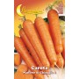 SEMI ORTO CAROTA DI CHIOGGIA