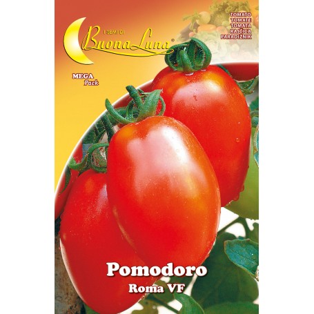 SEMI ORTO POMODORO ROMA