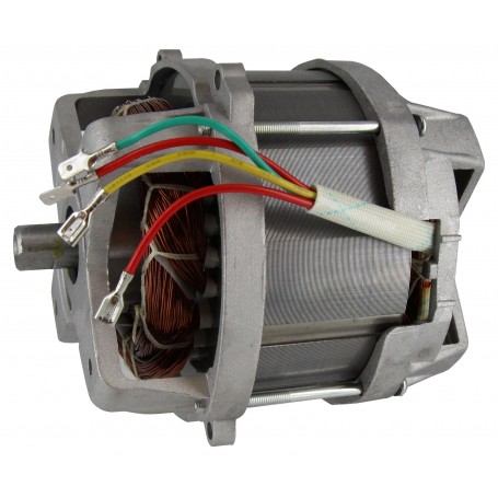 MOTORE PER TOSAERBA W.1400 QT3030