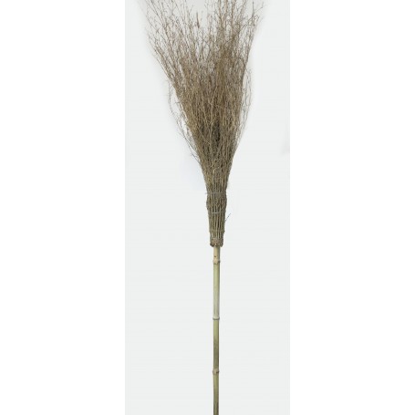 SCOPA IN BAMBU CM.210\15R. IMPORT