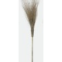 SCOPA IN BAMBU CM.210\15R. IMPORT