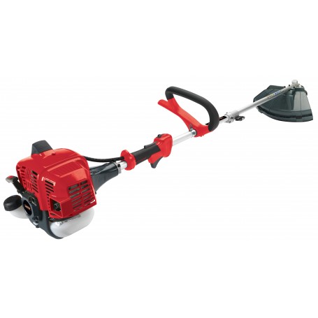 DECESPUGLIATORE CASTOR 25
