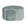 PL IDR. CALOTTA F. ART.300 GR.3\8