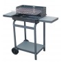 BARBECUE ACCIAIO CM.110X47X92H MOD.5842T