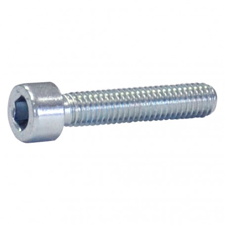 BULLONE TESTA CILINDRICA T.C.E.I. 8 x 30 tutto filettato